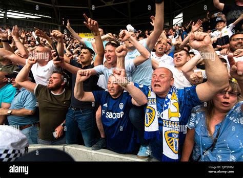 english football fans Stock Photo - Alamy