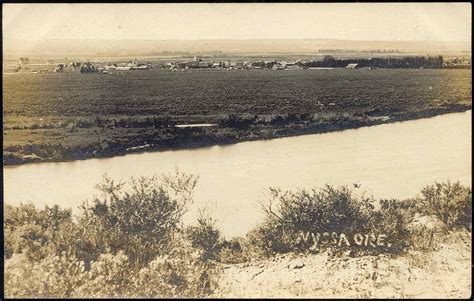 Nyssa, Oregon, Panorama (1910s) RPPC | eBay