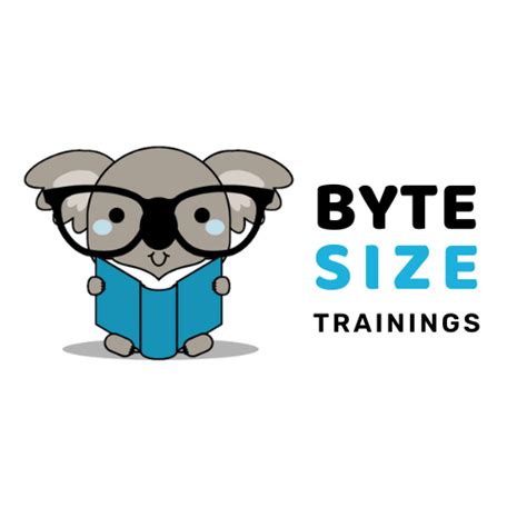 ByteSize Training & Consulting LLC