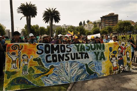 The Collective Process to Defend Yasuni National Park - Yasunidos