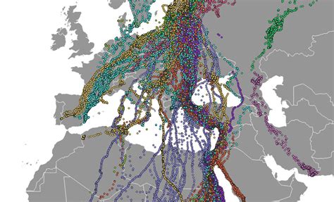 An interactive map of migrating birds - Benjamin Becquet