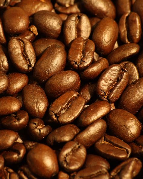 File:Dark roasted espresso blend coffee beans 2.jpg - Wikipedia