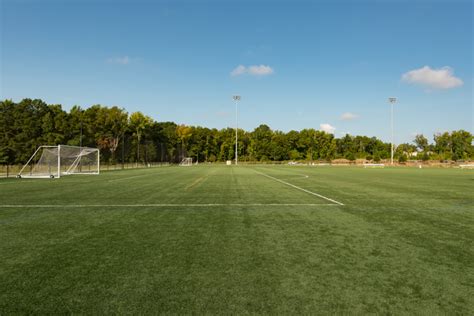 Artificial Turf Versus Grass Fields: Whats the Difference