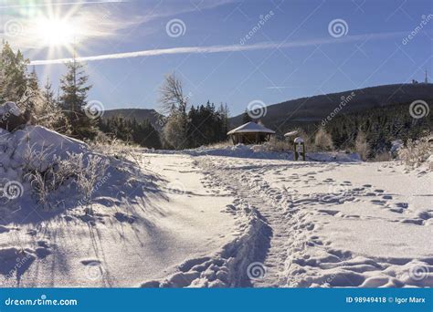 Winter Harz National Park, Germany Stock Photo - Image of mountain, hiking: 98949418