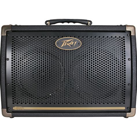 Peavey Ecoustic E208 30W 2x8 Acoustic Combo Amp - Woodwind & Brasswind