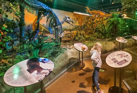 Don't Miss The North Carolina Museum Of Natural Sciences