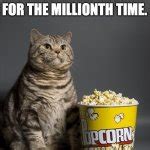 Cat eating popcorn Meme Generator - Imgflip