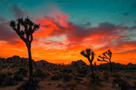 Seven Tips For Stunning Desert Photography – MyPostcard