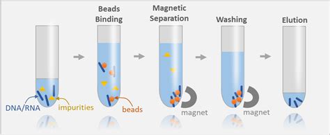 Magnetic Beads (DNA Purification) - SPRI Beads Replacement