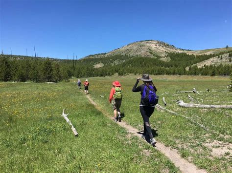 7-Day Guided Hiking Tour in Yellowstone | 10Adventures