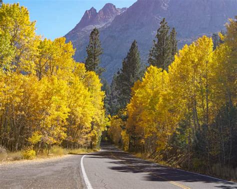 June Lake Loop: A Scenic Drive in the Eastern Sierra! - Roadtripping California