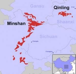 china qinling mountains map panda habitat - Global Sherpa