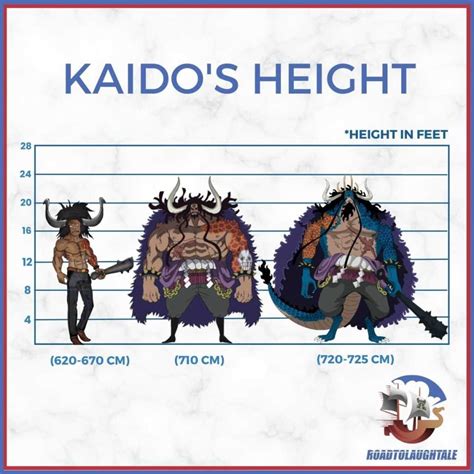 The Big Question : How Tall is Kaido in One Piece?