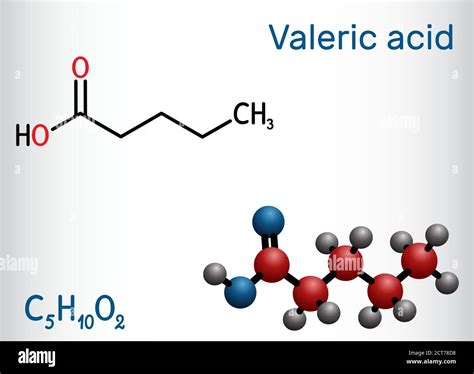 Pentanoic acid Stock Vector Images - Alamy