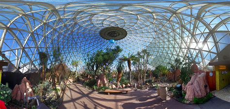 Inside mitchell park domes Photograph by Steve Bell - Pixels