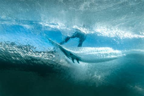 2,000+ Surfing Bondi Beach Stock Photos, Pictures & Royalty-Free Images ...