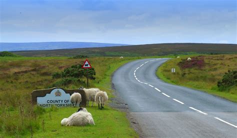 North Yorkshire Moors 2 Free Photo Download | FreeImages