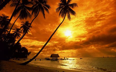 Tropical Sunset Beach HD wallpaper