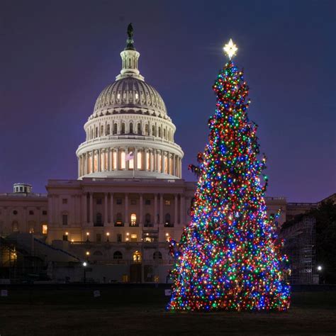 Christmas in Washington, DC: Holiday Traditions and Festivities ...