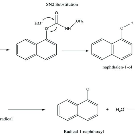 Scheme of the hydrolysis of carbaryl. | Download Scientific Diagram