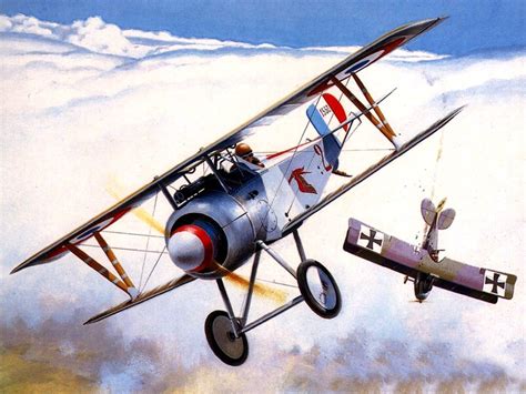 1916 Nieuport 17 Guynemer - Brian Knight | Vintage aircraft, Aircraft art, Aircraft painting