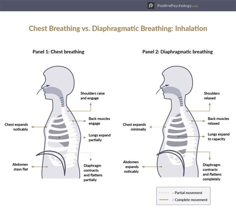 6 Best Diaphragmatic Breathing Exercises to Reduce Anxiety