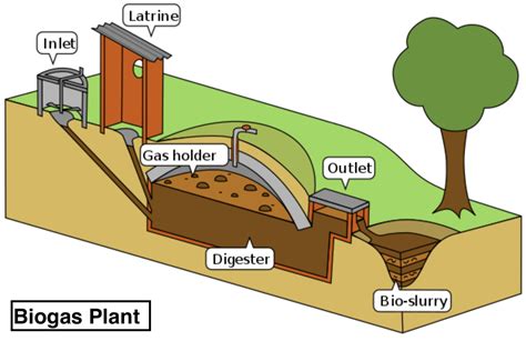 The process of biogas production is a) Aerobic processb) Anaerobic processc) Active processd ...