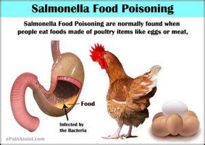 Top 3 Common Foods Behind Salmonella Poisoning — Eating Enlightenment