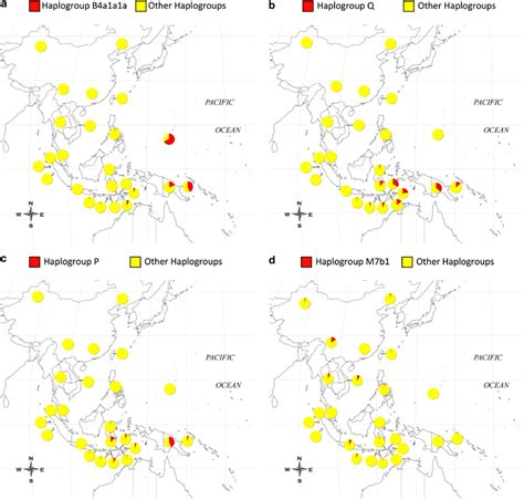 Frequency distribution of mitochondrial DNA haplogroups (a) B4a1a1a,... | Download Scientific ...