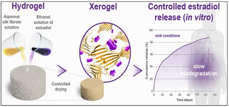 Gels | Free Full-Text | Insights into the Role of Biopolymer-Based Xerogels in Biomedical ...