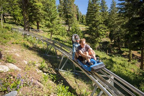 What to do at Bogus Basin | Summer activities, Camping vacations, Activity days