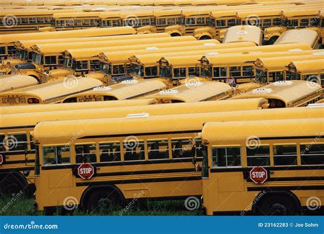 Yellow school buses editorial stock photo. Image of yard - 23162283