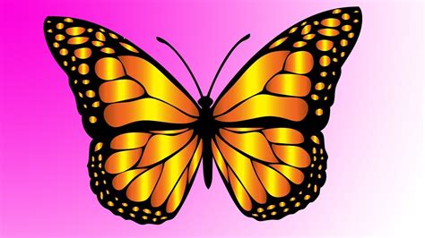 How to Draw -- Butterfly Easy- Step by Step - YouTube