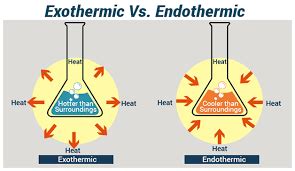 Endothermic vs. Exothermic Reactions Review | 138 plays | Quizizz