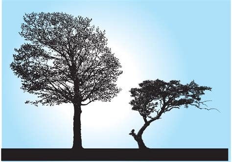 Tree Silhouette Vectors - Download Free Vector Art, Stock Graphics & Images