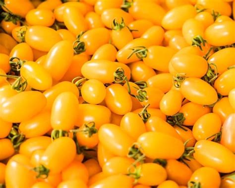 The Best Types of Yellow Tomatoes (Cherry, Heirlooms & More)