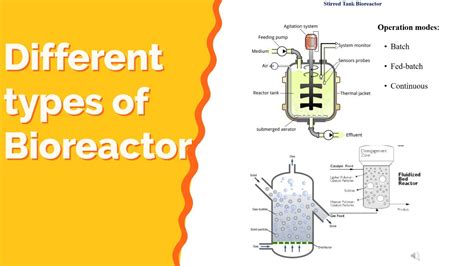 Different types of bioreactors| Explained| Biochemical & Bioprocess Engineering - YouTube