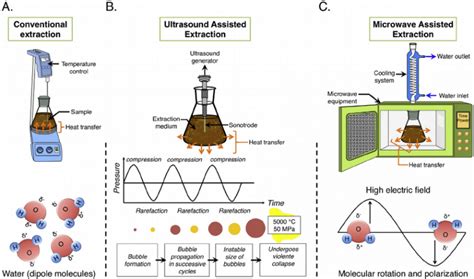 Ultrasound Assisted Extraction of Food and Natural Products. Mechanisms, techniques ...