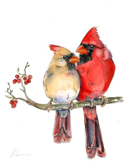 Print: Beautiful Red Cardinal Pair Male and Female Watercolor - Etsy