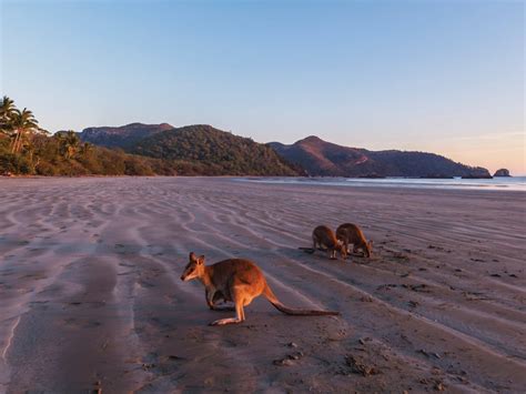 Cape Hillsborough National Park - Attraction - Queensland