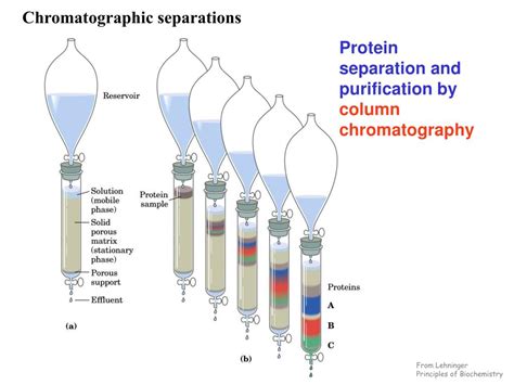 PPT - Techniques of Protein Purification PowerPoint Presentation, free download - ID:342073