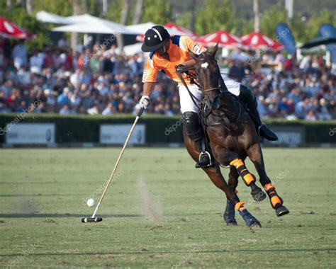 Polo Player Stock Photo by ©MrSegui 6631872