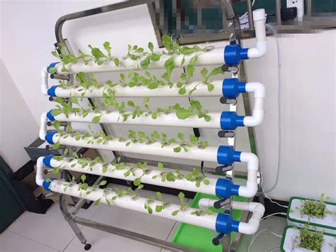 Skyplant Nft T Type Indoor Hydroponic Pvc Planting Pipe Growing System ...