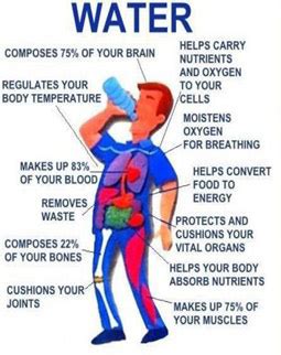 Muscle Cramps / Charley Horses - Ashbury Senior Computer Community Center