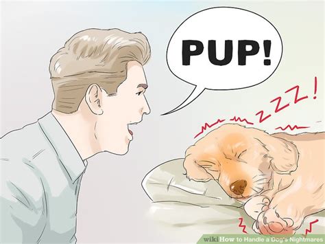 How to Handle a Dog's Nightmares: 10 Steps (with Pictures)