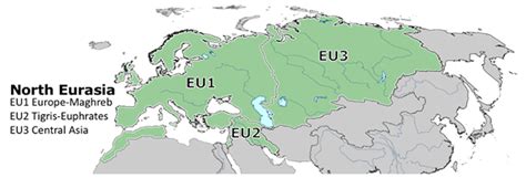 MUSSELpdb | North Eurasia Region