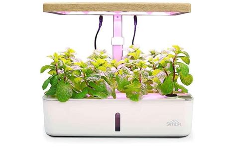 10 SMART HERB GARDEN IDEAS – Slick Garden