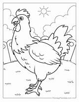 Chicken Coloring Pages sketch template