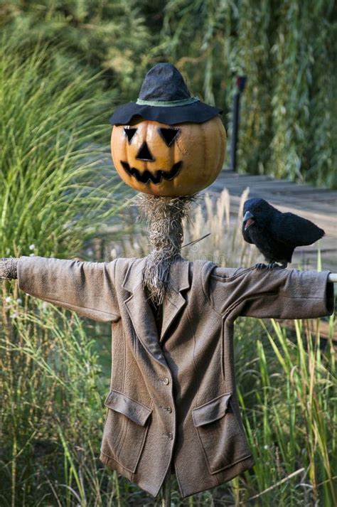 2,138 Scarecrow Face Stock Photos - Free & Royalty-Free Stock Photos from Dreamstime