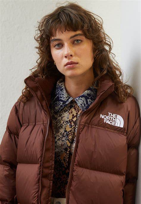 Spinne Arbeit Monster the north face retro nuptse brown Verdienen ...